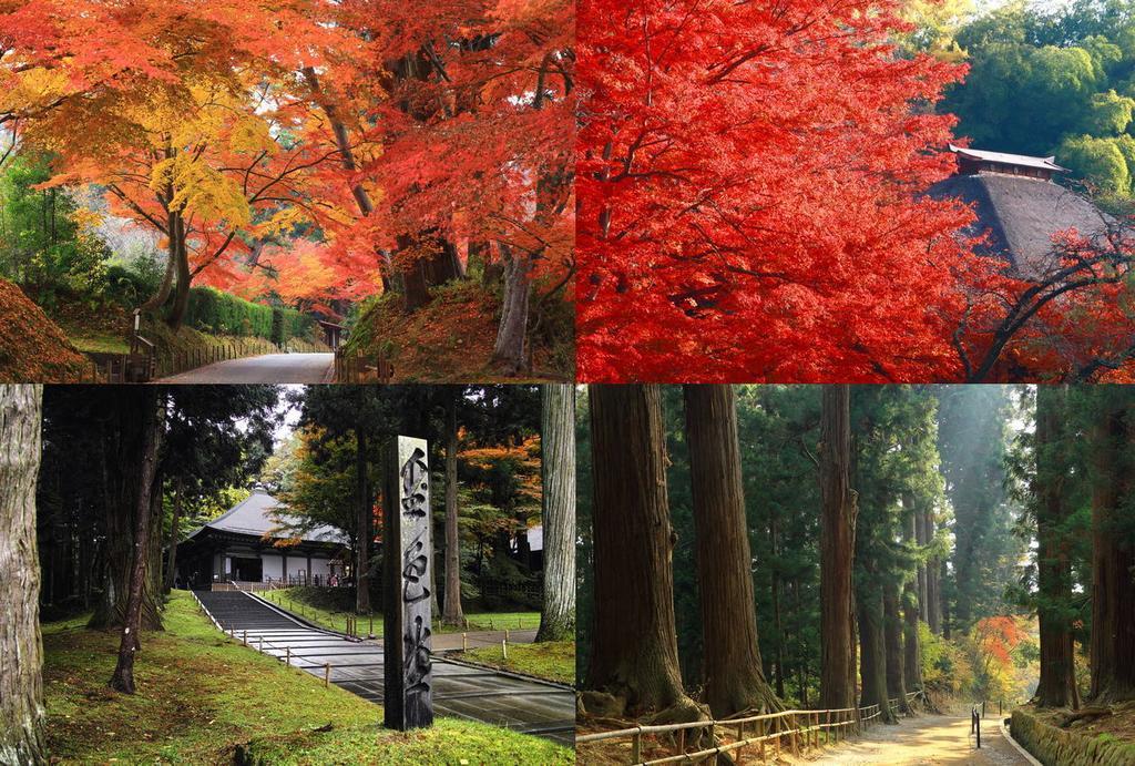 Shugyoku No Yu Yakushido Onsen Hotel Oshu Buitenkant foto