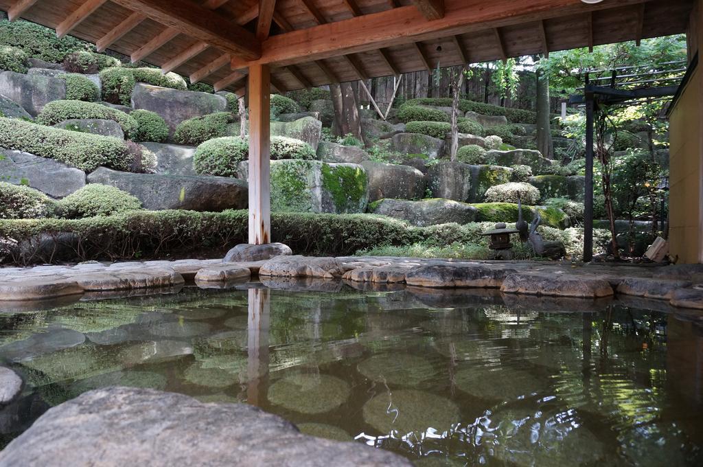 Shugyoku No Yu Yakushido Onsen Hotel Oshu Buitenkant foto